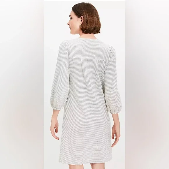 Stripe Textured Pleated Mini Dress NWT - Picture 3 of 4